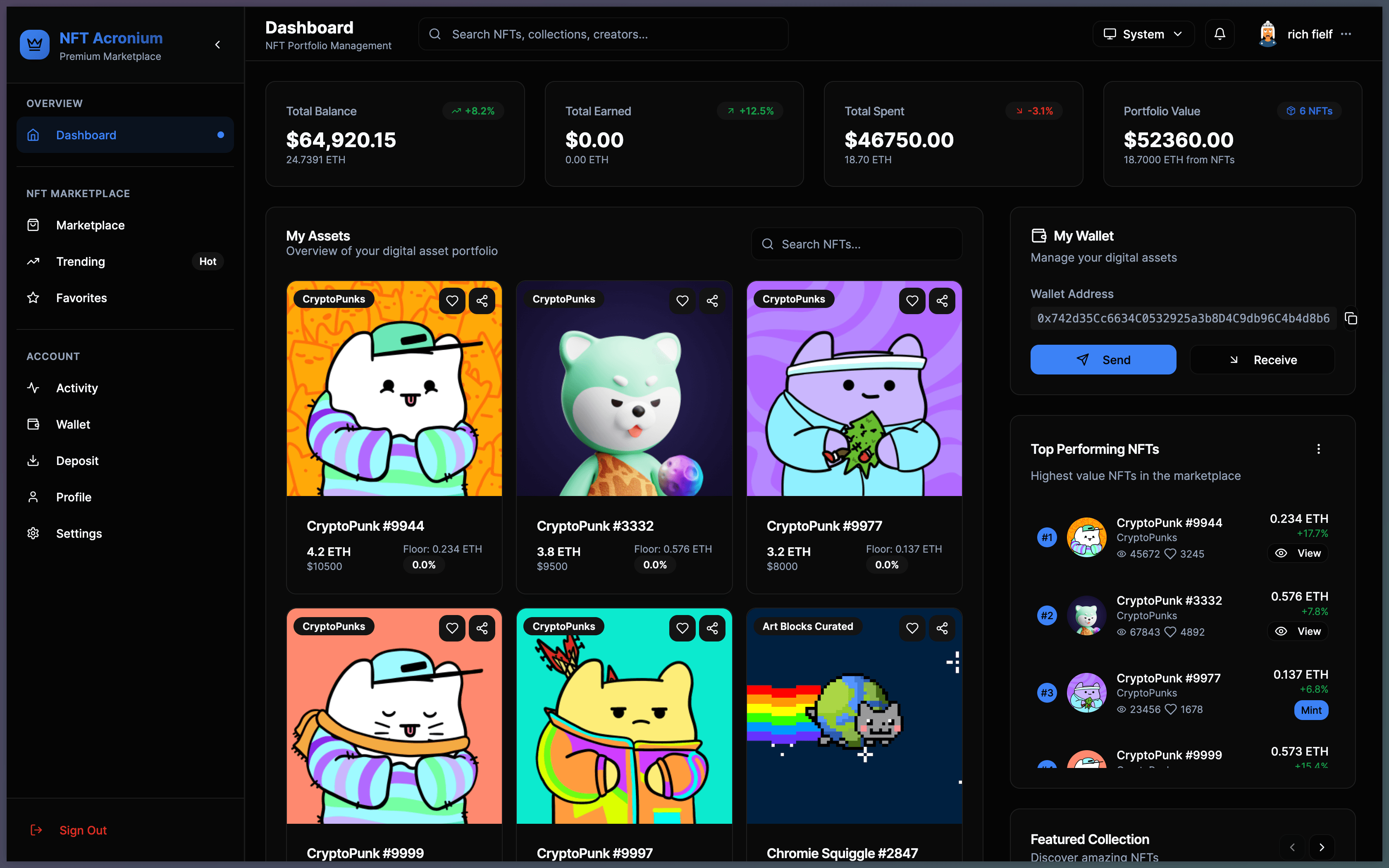 Portfolio project 12